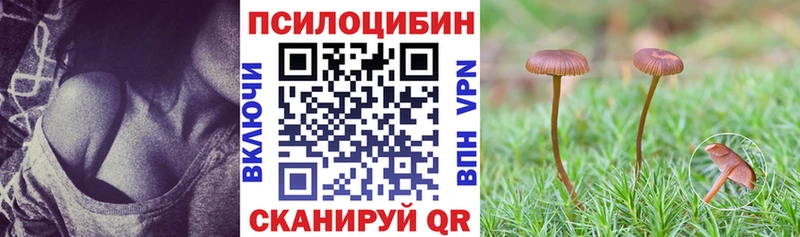 Галлюциногенные грибы Psilocybine cubensis  Малоархангельск 